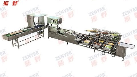 Zenyer 102BP egg grader with auto packer 5000 eggs/hour