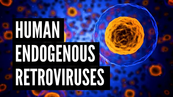 Human Endogenous Retroviruses (HERVs) - DayDayNews