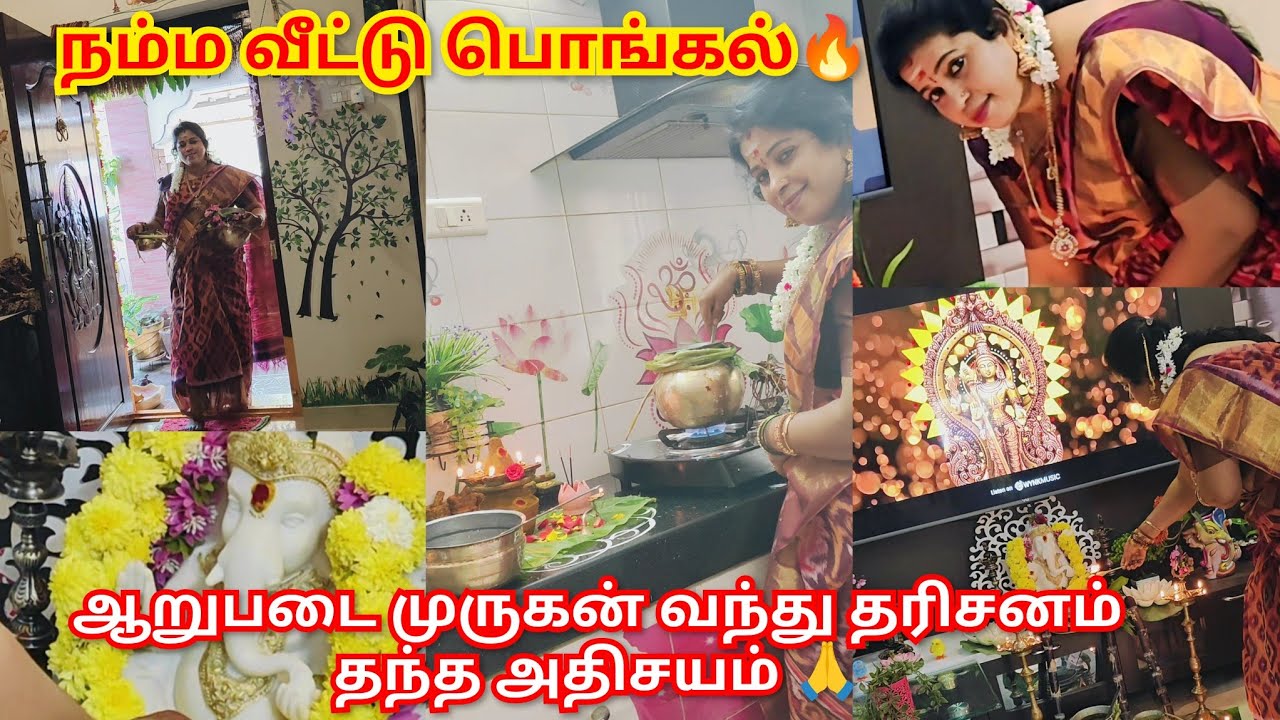 🔥நம்ம வீட்டு பொங்கல் Vlog🥳 | காலையிலே ஆறுபடை முருகன் வந்து காட்சி கொடுத்த அதிசயம்🙏 