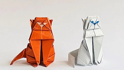 Video 452701: fold cat, persian cat