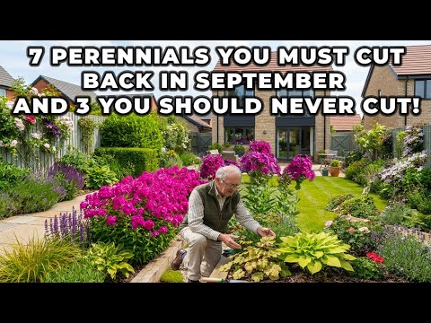 7 Perennials You MUST Cut Back in September — And 3 You Should NEVER Cut!