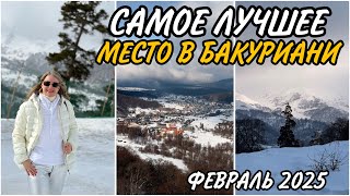 видео: Лучшее место БАКУРИАНИ Crystal Park. Центральный Парк. Презентация коллекционной монеты Банка Грузии картинка: Лучшее место БАКУРИАНИ Crystal Park. Центральный Парк. Презентация коллекционной монеты Банка Грузии
