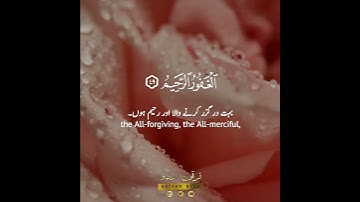 🌸نبئ عبادي أني أنا الغفور الرحيم🌸🍃 سورة الحجر:٤٩,٥٠|عمير شميم|Surah al Hijr:49,50|Umair Shamim