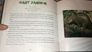 Reading Aloud: World's Weirdest Animals: Giant Pangolin (British Female)