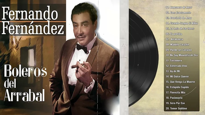 Fernando Fernandez Exitos De Oro - 20 Grandes Exit...