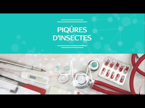 Vidéo: Les piqûres d'araignées démangent-elles généralement ?