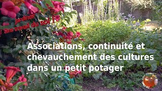 Associations Continuity Crop Overlaps in a Small Vegetable Garden