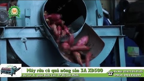 MÁY RỬA NÔNG SẢN, Máy rửa củ quả