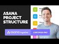 How to minimise your Asana projects and stay more organised