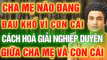 Cha Mẹ Nào Đang Đau Khổ Vì Con Cái Nên Nghe 1 Lần, Cách Hóa Giải Nghịch Duyên Giữa Cha Mẹ Và Con Cái