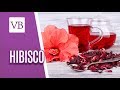 Hibisco: Benefícios e Propriedades Nutricionais - Você Bonita (01/06/18)