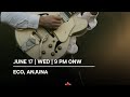 one man band / live looping/ loopy pro