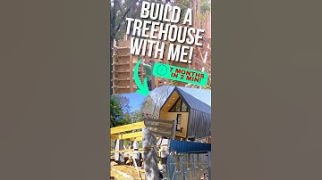 Full Treehouse Construction Time-Lapse | The Azalea Model