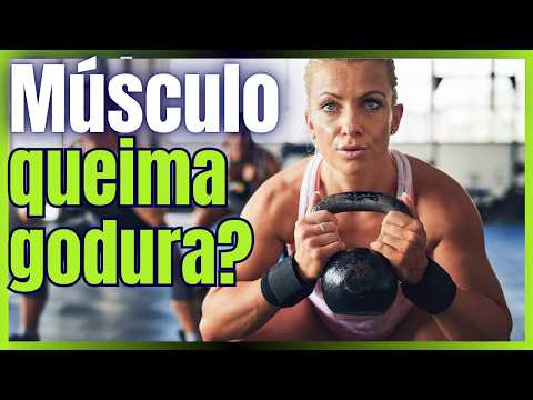 Mais músculo, menos gordura? A ciência explica.