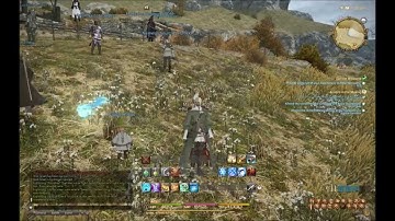 FFXIV: For the Winsome!