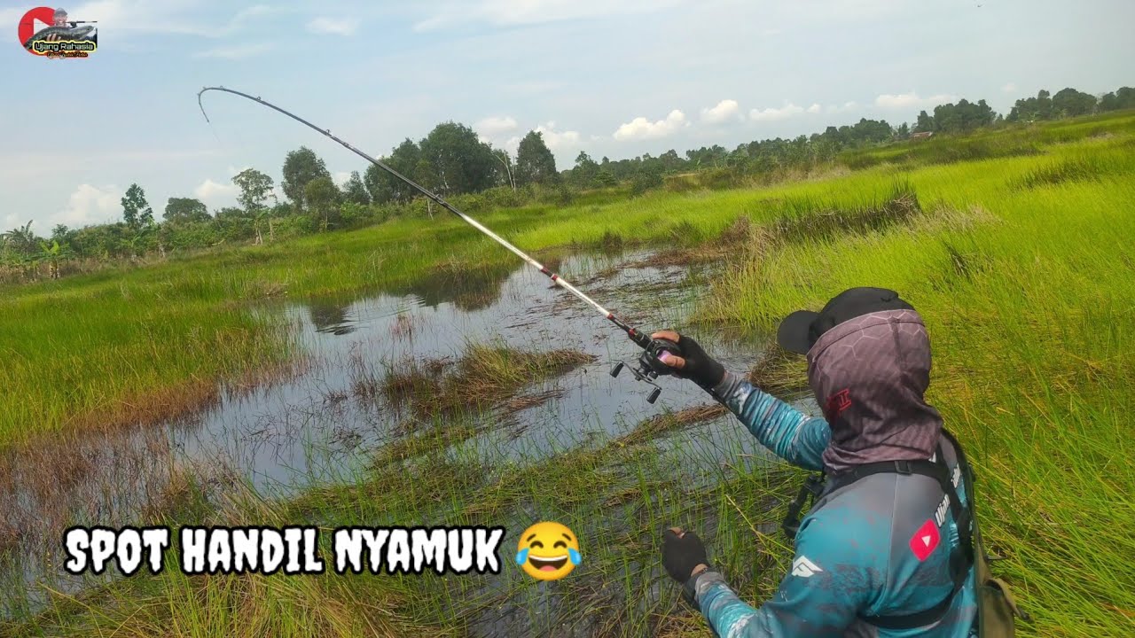 CASTING DI KANAL PURUN TIKUS PENUH NYAMUK || CASTING GABUS KALIMANTAN