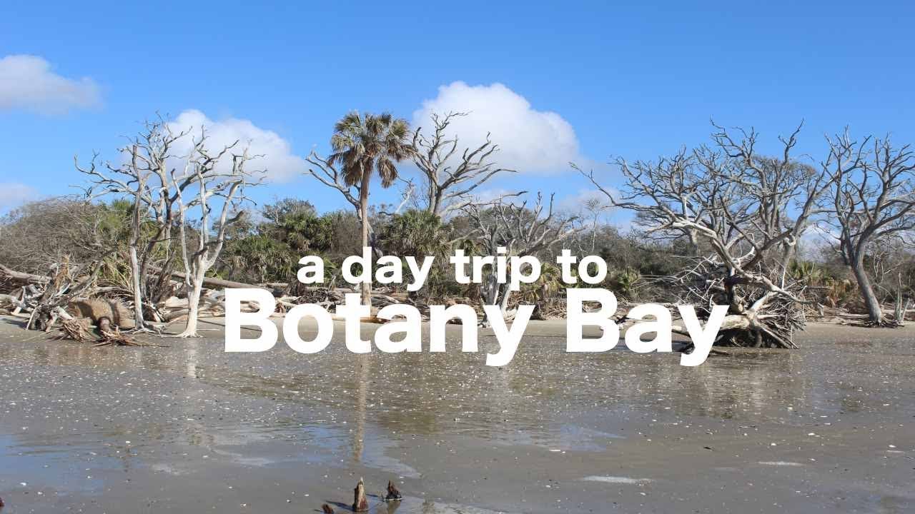 Botany Bay Day Trip Edisto Island, South Carolina YouTube