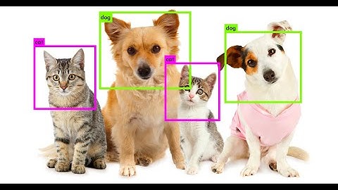 How YOLO algorithm work (part two) شرح عربي