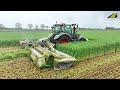 Gras bzw. Grünroggen mähen Agrarservice Einsatz für die Landwirtschaft Traktor Fendt &amp; Claas Mähwerk