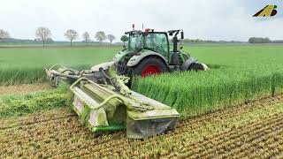 Gras bzw. Grünroggen mähen Agrarservice Einsatz für die Landwirtschaft Traktor Fendt &amp; Claas Mähwerk