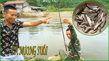 Câu Cá Mương Mồi Bột | Câu Cá Giải Trí Và Ẩm Thực