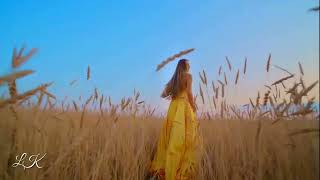 видео: Симфония июля. П.И. Чайковский. Песнь косаря  картинка: Симфония июля. П.И. Чайковский. Песнь косаря