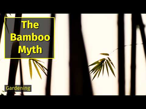 Is All Bamboo