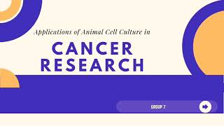 Applications of Animal Cell Culture in Cancer Research (SCL GROUP 7)