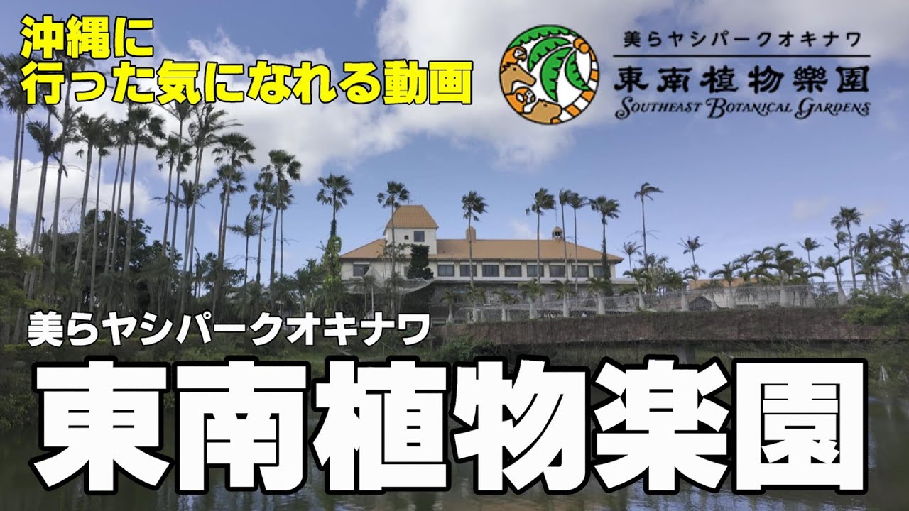 【この植物園はタダモノじゃない】美らヤシパークオキナワ東南植物楽園　沖縄に行った気になれる動画　北谷からすぐ！ビーチだけじゃない南国気分全開な沖縄観光の穴場