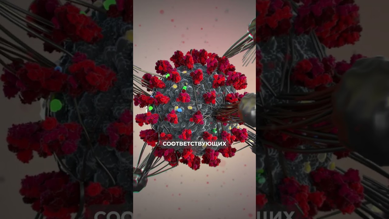 Магний - волшебный ключ к сильной иммунной системе