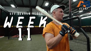 Off-Season Vlogs | Week 11 (TESTING OUT MY NEW BAT)