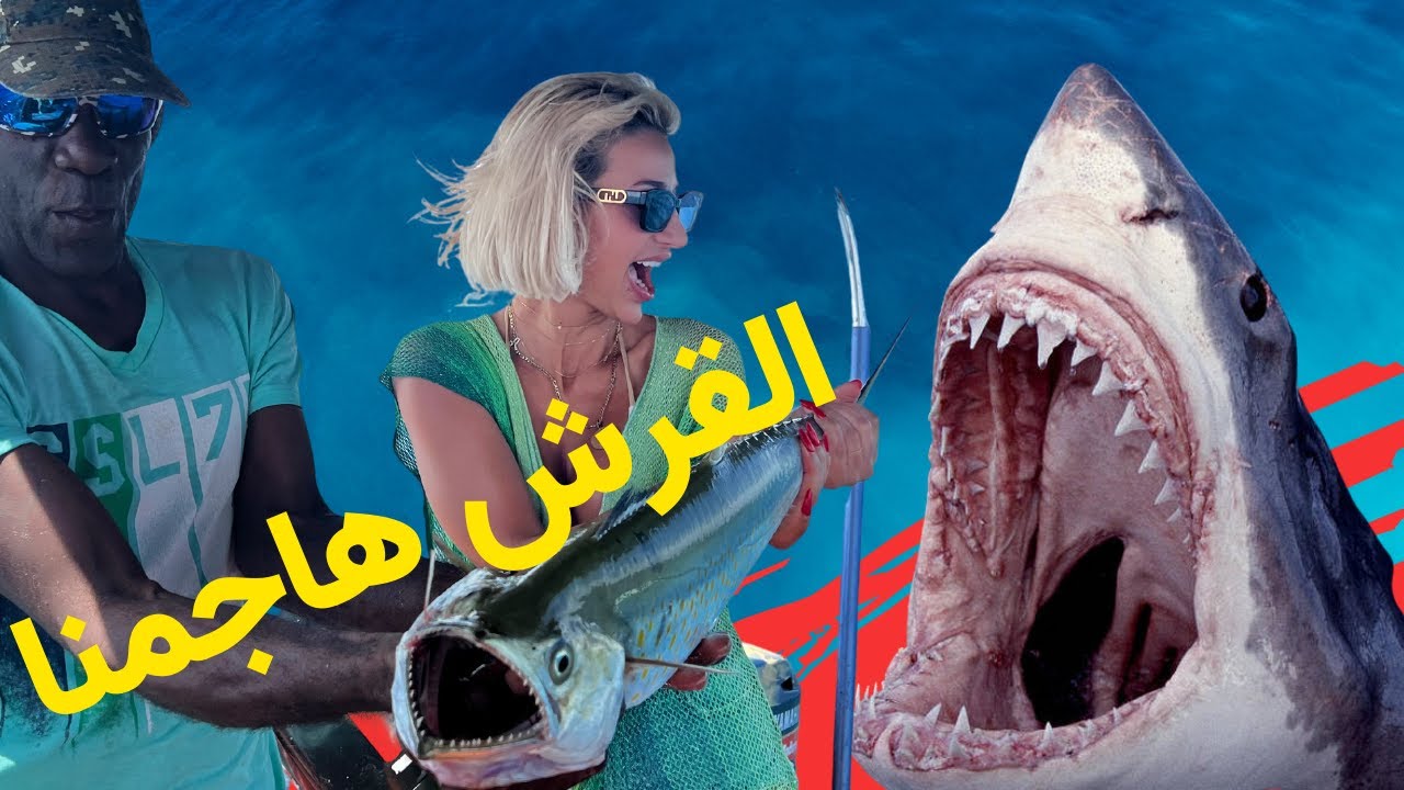 القرش هاجمنا - SHARK ATTACKED US | CONTADORA ISLAND