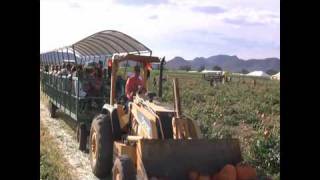 Buckelew Farm Pumpkin Picking