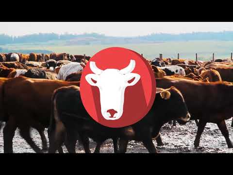 Loading video