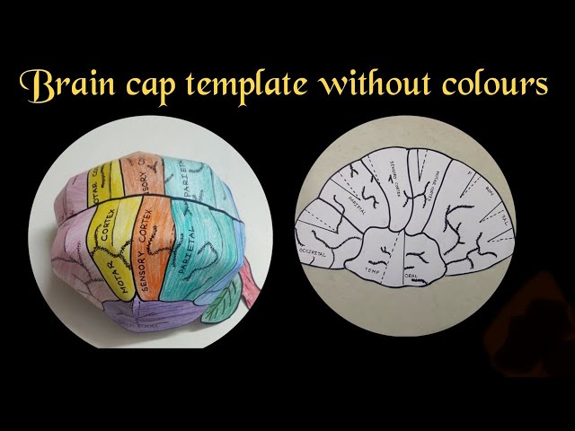 Brain cap template / How to make 3d brain cap #crafts - YouTube brain-cap-template-how-to-make-3d-brain-cap-crafts-youtube