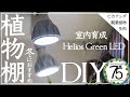 【DIY】観葉植物用の植物棚をDIY！これでビカクシダやエアプランツや多肉の小苗も安心です！