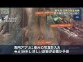 砧公園でAI点検の実証実験　相次ぐ倒木受け　専用のアプリで調査の必要性予測(2026年4月17日)