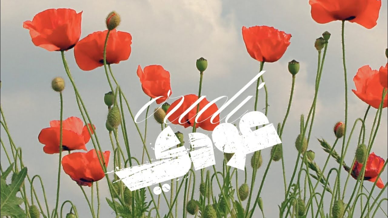 Karim dakhlallah ft hossam wahab - oudi ( official lyrics video ) | عودي - كريم دخل لله  - حسام وهب 