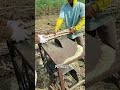 Sawing cassava stems with a circular saw