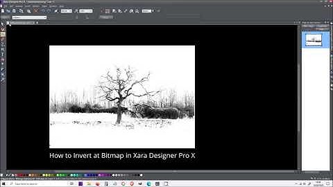 How to Invert Negative a Bitmap Image in Xara Designer Pro X