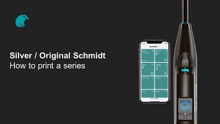 Celebrity How to print a series | Silver / Original Schmidt Profile