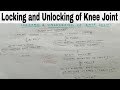 Locking and Unlocking of Knee Joint , 1