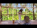 KENTA HAYASHI - "Libyan Dancer" 444Hz (Live at DRYFT camp, Darocotan Island)