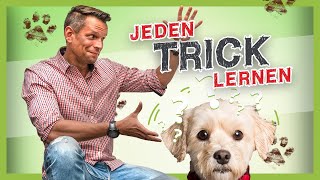 So lernt dein Hund JEDEN Trick: Hundetricks leicht gemacht!