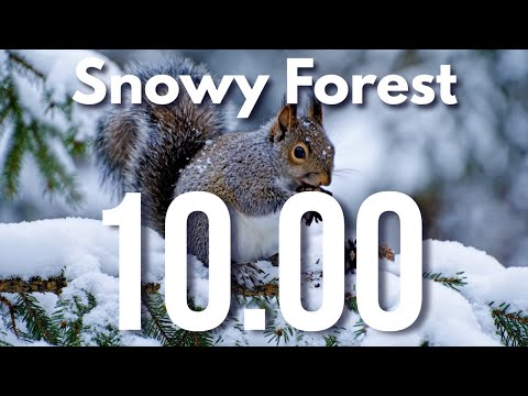 10 Minute Winter Classroom Focus Timer ❄️ Calm Snowy Scene \u0026 Peaceful Piano Music for Work \u0026 Study