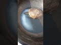 #jaishreeram #trendingshorts #viilagelife #turtlelover