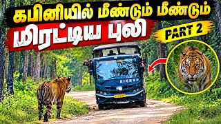 😱 கபினியில் மிரட்டிய புலி | SHOCKING Tiger Encounter in Kabini Safari! 🐅 Part 2 | Jolly Trip 
