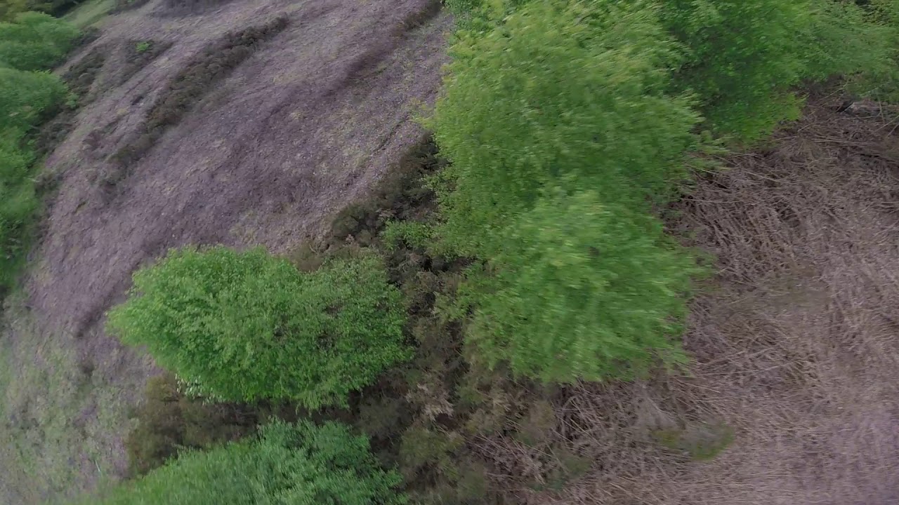 The Wasp V1 Prototype Tuning Test Flight