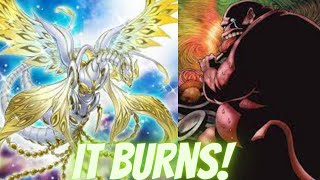 Mahaama The Fairy Dragon Burn Deck Yugioh Master Duel Deck Profile And Gmaeplay!!