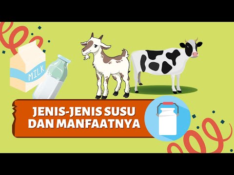 Video: Berapakah Kandungan Lemak Susu Lembu Semulajadi